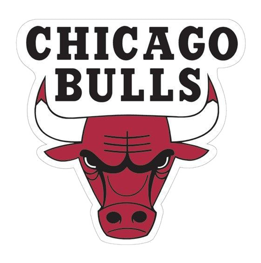 CHICAGO BULLS